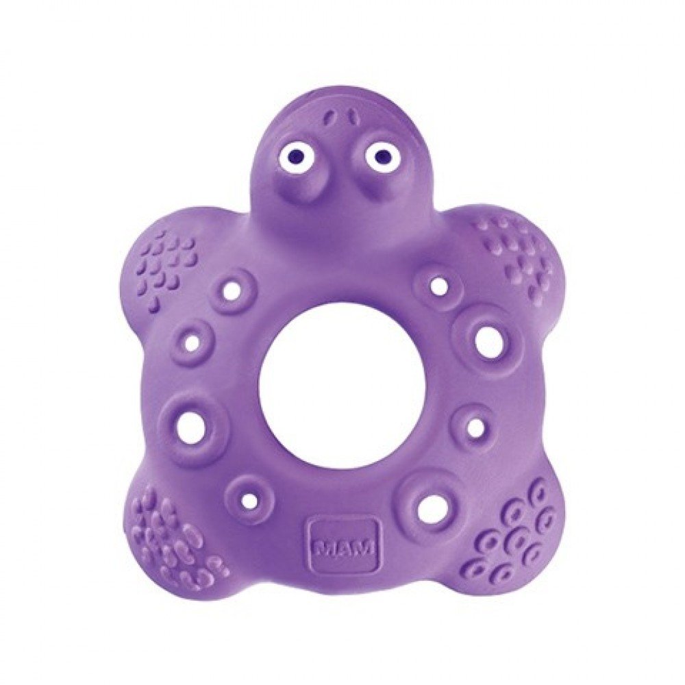 Mam dentaruolo bob the turtle