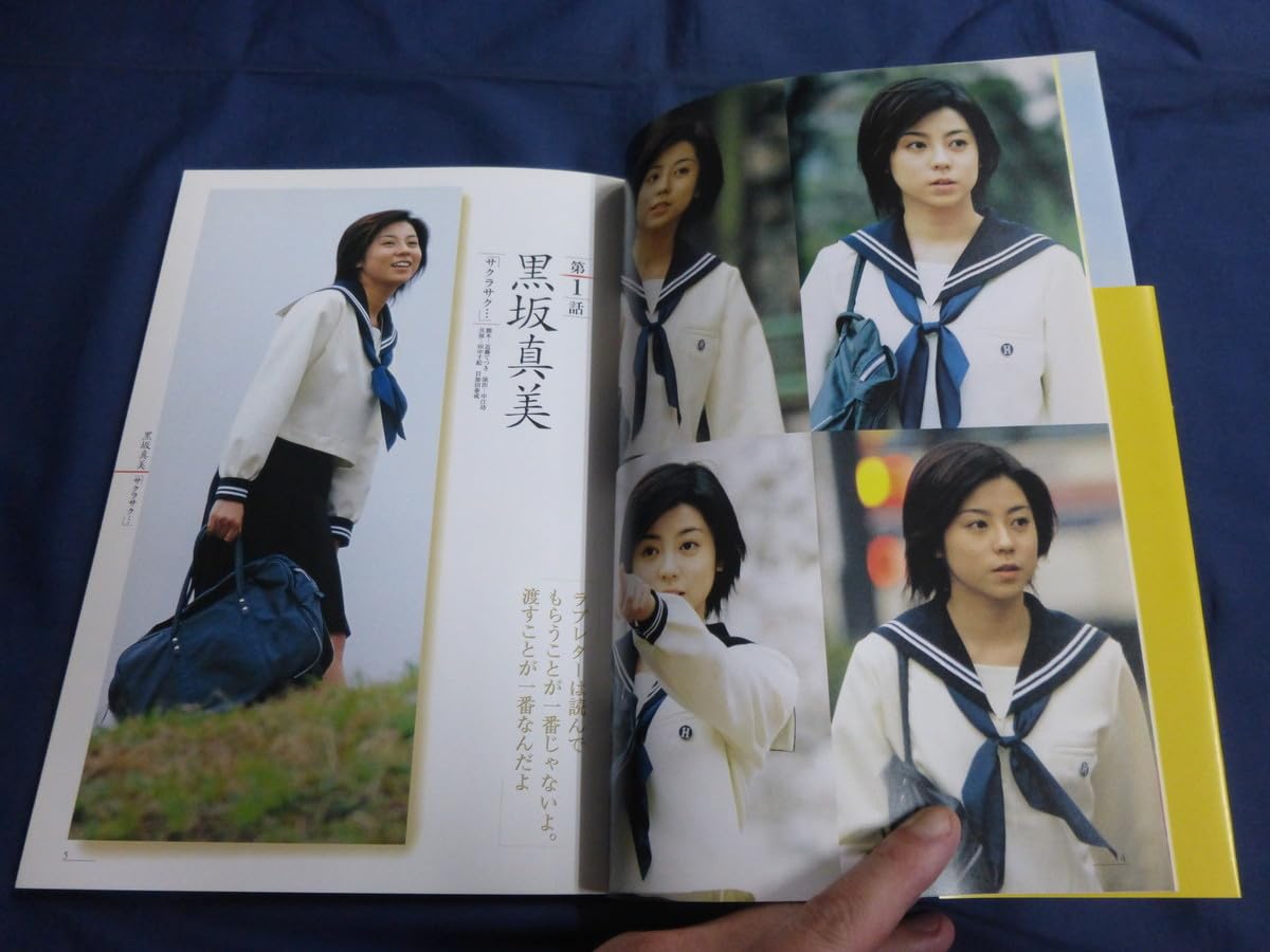 テレビ　美少女 Amazon.co.jp: ○ 美少女H visual book 黒坂真美 本宮純子 田中千絵 小谷美裕 仲根かすみ 水川あさみ 小池栄子 佐藤江梨子  フジテレビ ドラマ 写真集 : おもちゃ