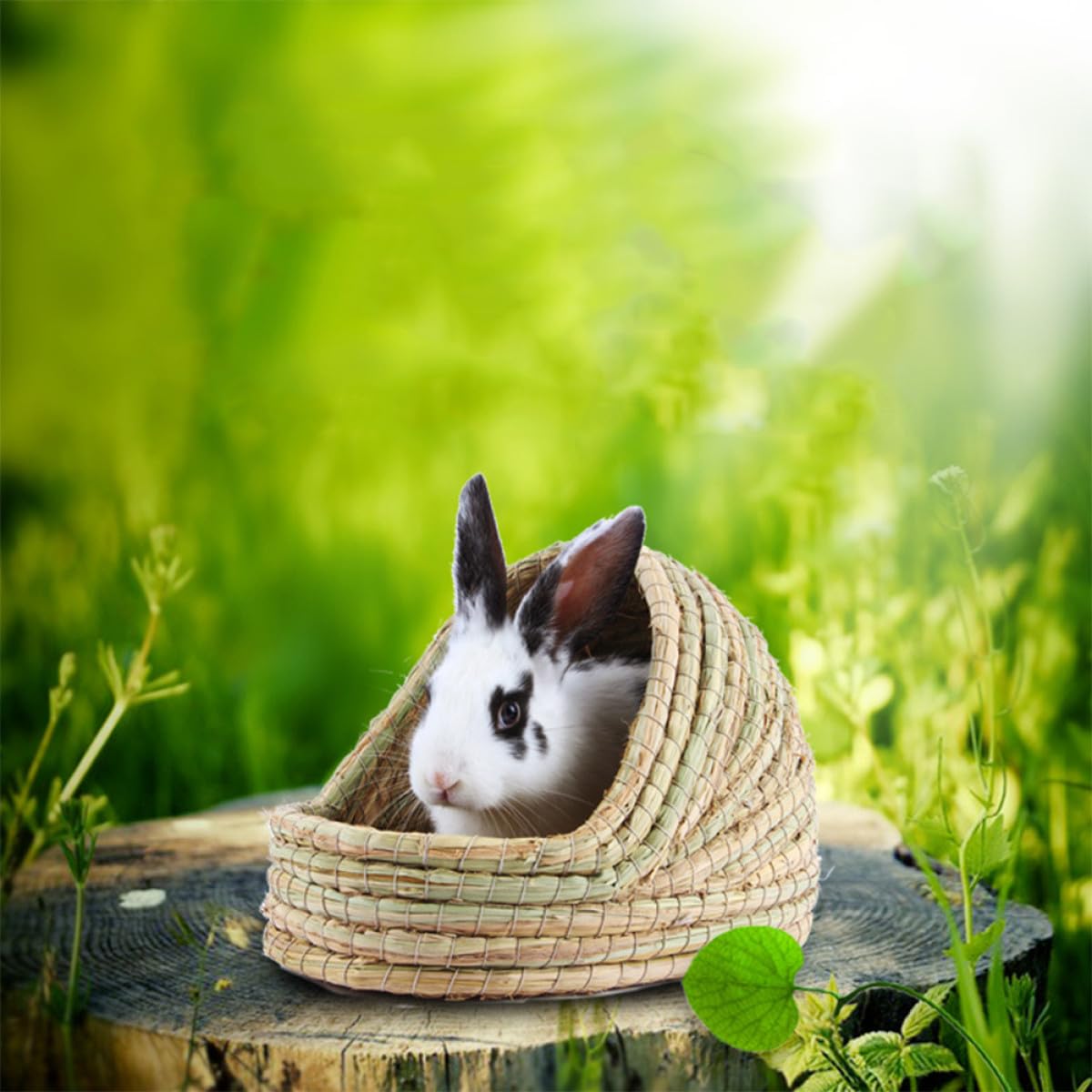 GLEAVI Maison pour Hamster en Paille Tressée, Cachette Portable, Vert