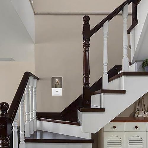 Miniatura 7 de Luz nocturna con sensor LED inteligente para colgar en una valla, ideal para dormitorio, sala de estar y baño