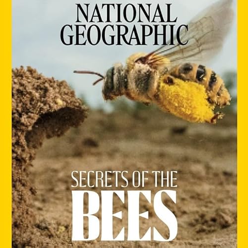 HUSA April 15 2026 - The Buzz