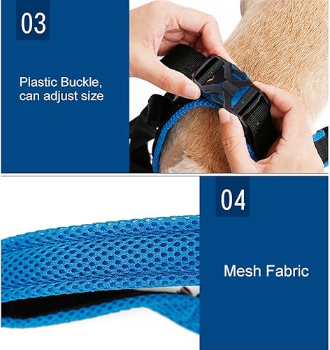 Miniatura 5 de DogLemi Arnés de elevación portátil para perros, correa de apoyo para perros con patas traseras débiles en la espalda, para perros pequeños y