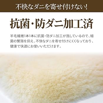 ムートンピース ACNE STUDIOS ムートンジャケット Sサイズ / リアルレザー ラム