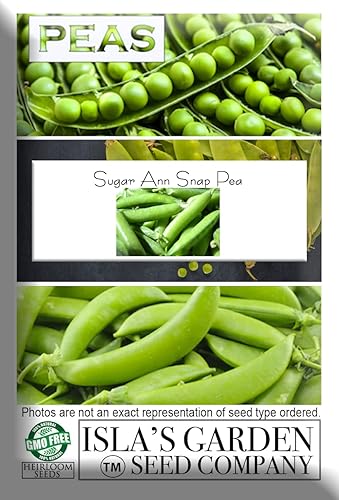 Miniatura 5 de Sugar Ann Snap Pea Garden Seeds, más de 50 semillas tradicionales por paquete, semillas de jardín de Isla (semillas de jardín de Isla), semillas sin