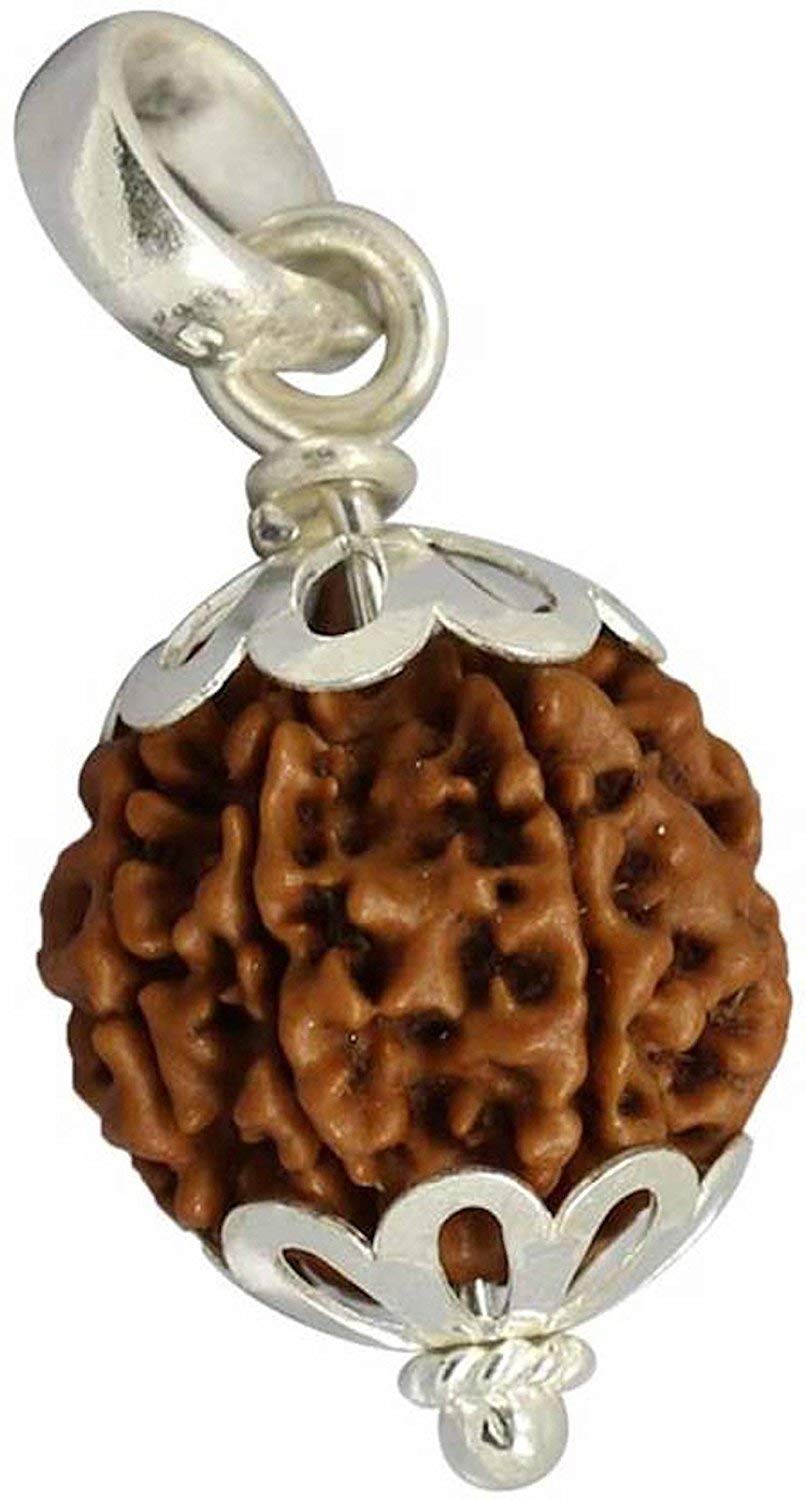5 Mukhi Indian Rudraksha Pure Silver Pendant | Five Faced RUDRAKSHA 100% Original and Lab Certified | NEELAM RATNA