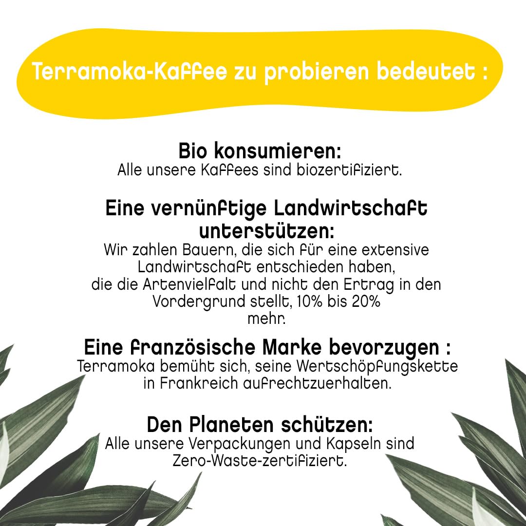 TERRAMOKA - Exzellenter Bio-Kaffee - 100% reiner Arabica aus Peru - Fruchtig, nuanciert und rassig - 300 Kapseln Kompatibel Zero Waste - Mr Albert- Frankreich