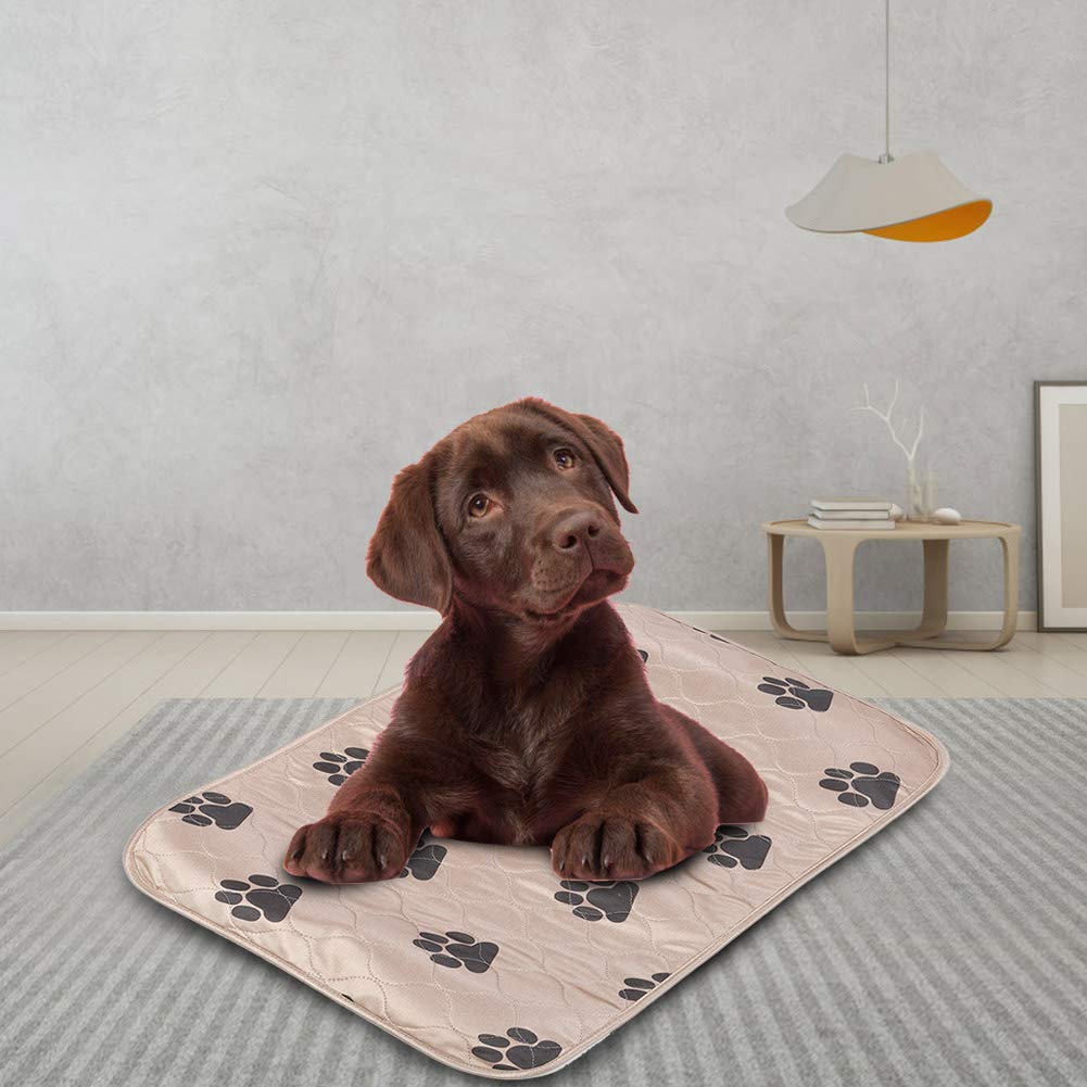 Wasbare, herbruikbare waterdichte plaspads voor honden, voor training, zindelijkheidstraining en zweep, ideale puppy-trainingsmatten voor honden Wasbare, herbruikbare waterdichte plaspads voor honden, voor training, zindelijkheidstraining en zweep, ideale puppy-trainingsmatten voor honden