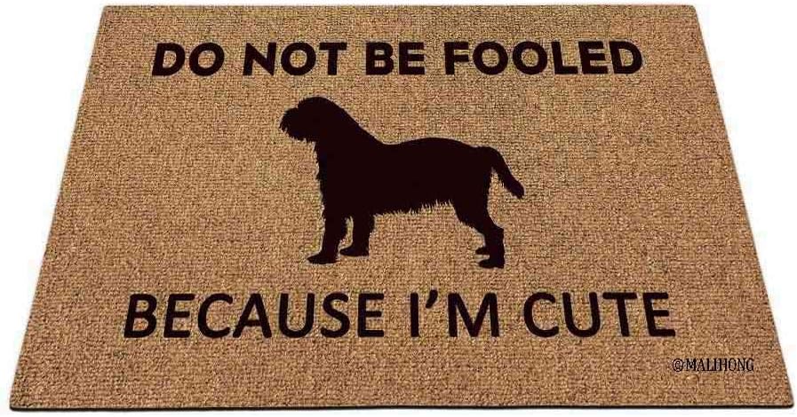Long Haired Dachshund Puppy Doormat Do Not Be Fooled Because I'm Cute Funny Door Mats for Home Decor 27.5 x 17.7 Inch