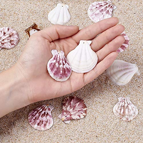 Kissitty 500 Grams Dyed Scallop Beach Sea Shell Beads With Holes 1.53-1.77" (39-45Mm) Length For Diy Jewelry Making Art Craft Projects-Bag Of Approx. 90Pcs #TOP3