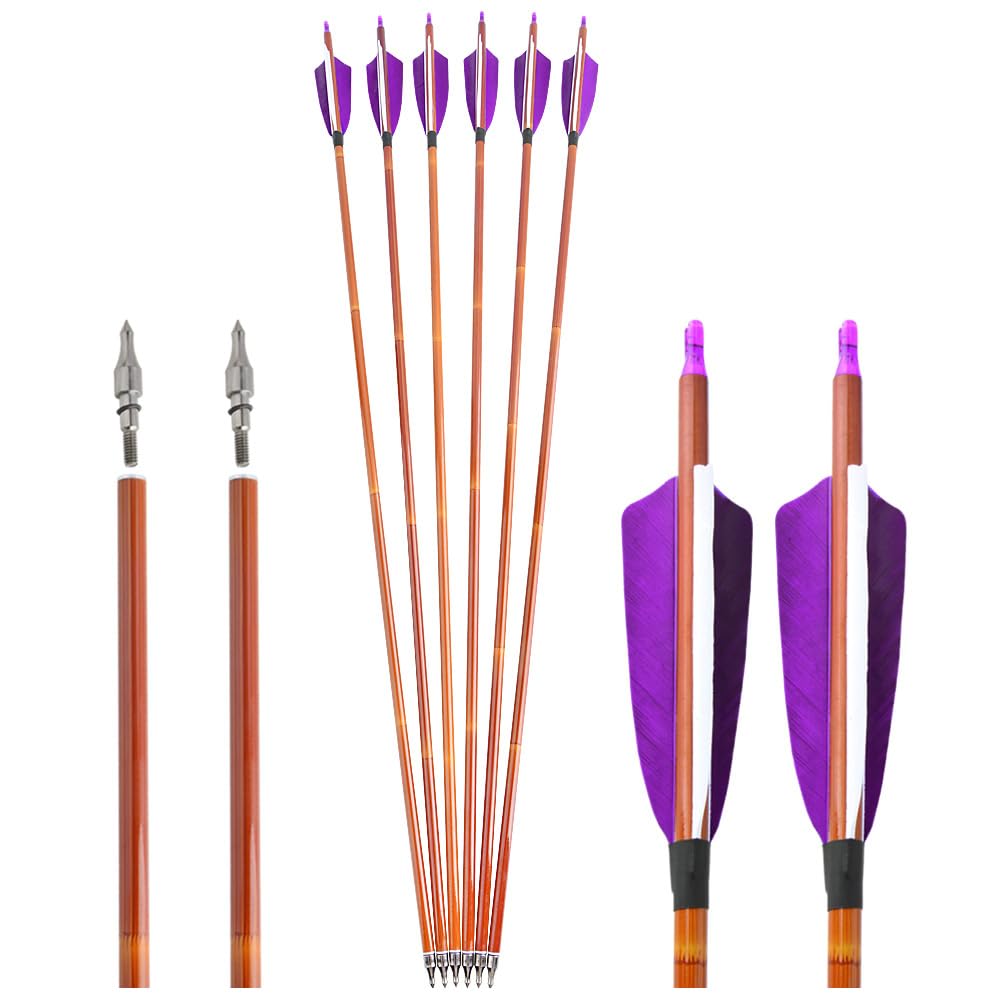 12 flèches en Carbone de 30 Pouces avec Plumes Naturelles de 4 Pouces - universelles pour Les arcs Classiques et composés, parfaites pour la Chasse et la Pratique du tir à l'arc