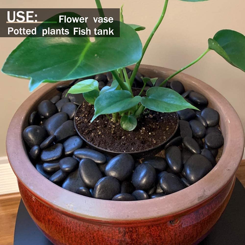 Virya Black Pebbles Pebbles for Decoration - Pebbles for Plants Pots - Pebbles for Garden, Fish Tank Aquarium, Table, Vase Fillers 1