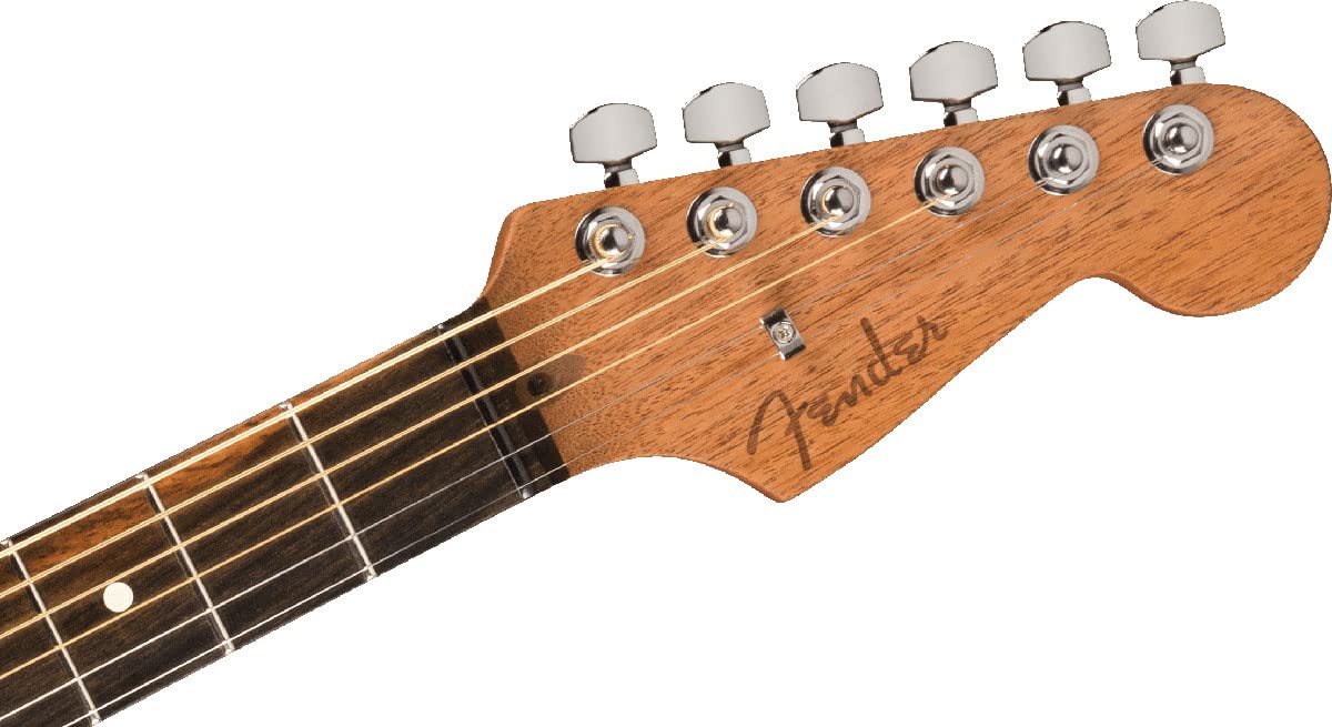 Amazon | Fender/Limited Edition American Acoustasonic