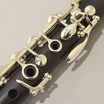 YAMAHA クラリネット 本体 YCL 853II CustomSE セット Yamaha Clarinet YCL-853 II SE Musical instrument Hard case