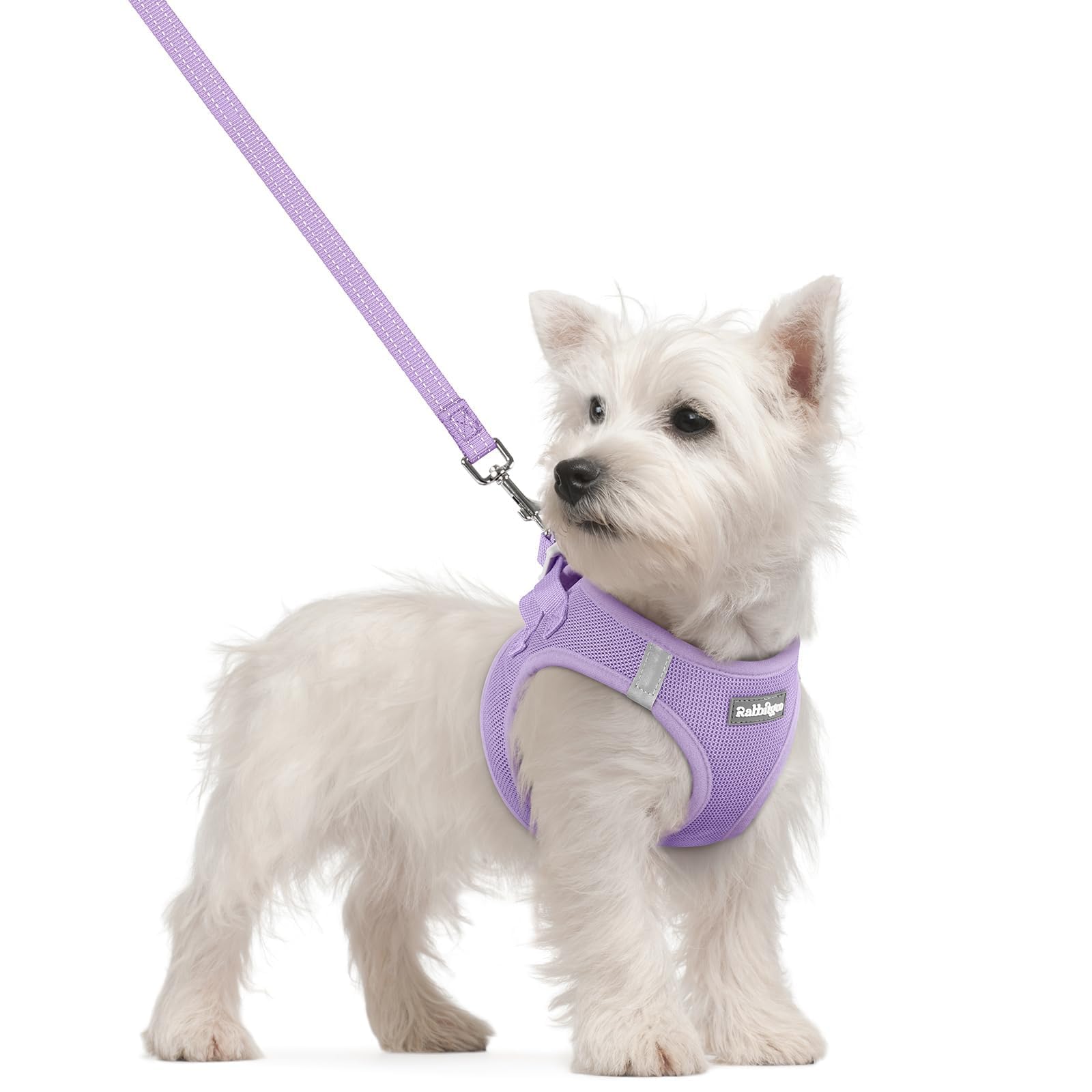 rabbitgoo Dog Harness Small Sized and Leash Set, Step-in Puppy Pet Vest