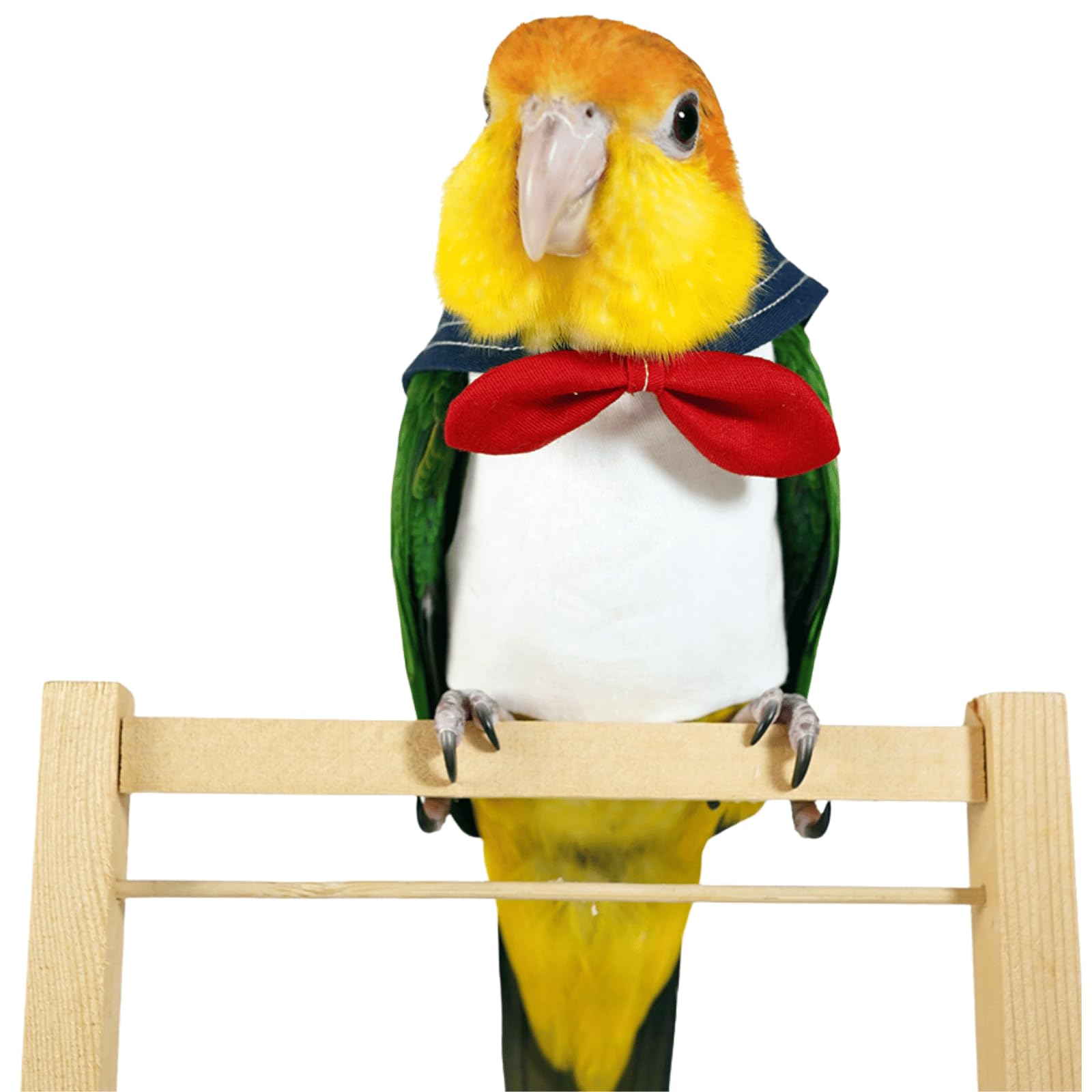 Bird Costume Bird Diaper Flight Sailor Suit Bird Clothes Cosplay Photo Prop for Parrots Macaw Cockatoo Quaker Conure (with Diaper,XL)