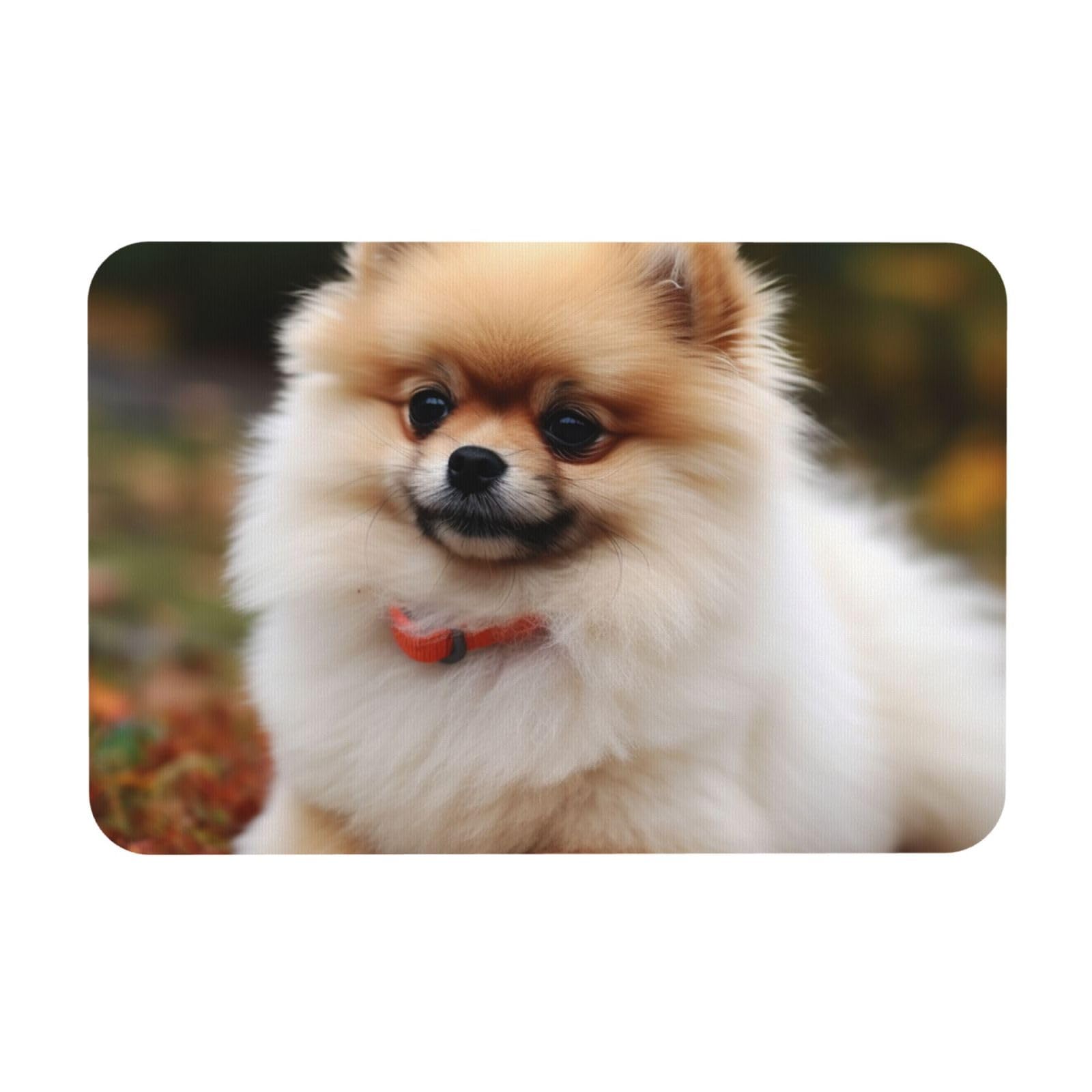 Tapis de bain motif chien de Poméranie pour sortie de douche