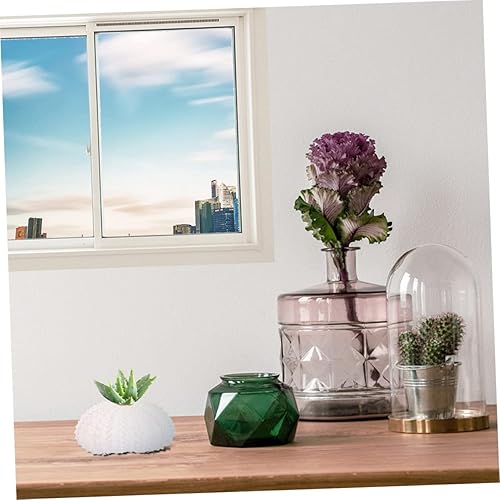 Miniatura 9 de NOLITOY Estante para plantas de concha de erizo de mar, 12 unidades, mini macetas, decoración del mar, boda, piña, soporte para plantas de aire,