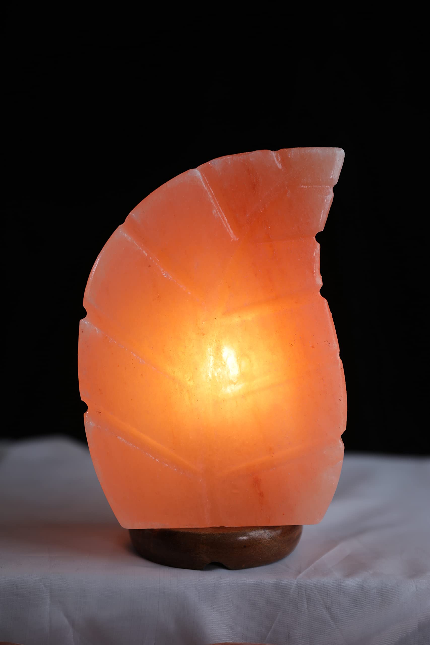 Pink Hill Leaf Shape 3-4 Kg Himalayan Salt Lamp