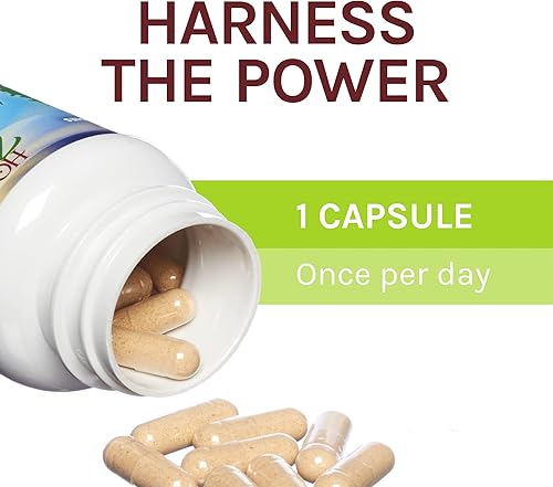 Miniatura 5 de Host Defense Agarikon Cápsulas apoyo inmunológico equilibrado suplemento de hongos 60 cápsulas sin sabor