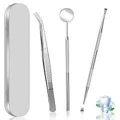 Dental Tools Dental Pick Stainless Steel Teeth Cleaning Tools with Case