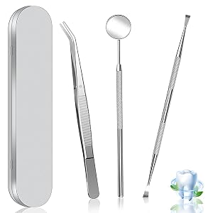 Dental Tools Dental Pick Stainless Steel Teeth Cleaning Tools with Case