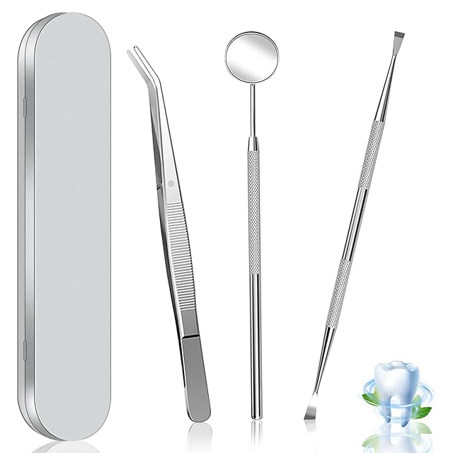 Dental Tools Dental Pick Stainless Steel Teeth Cleaning Tools with Case