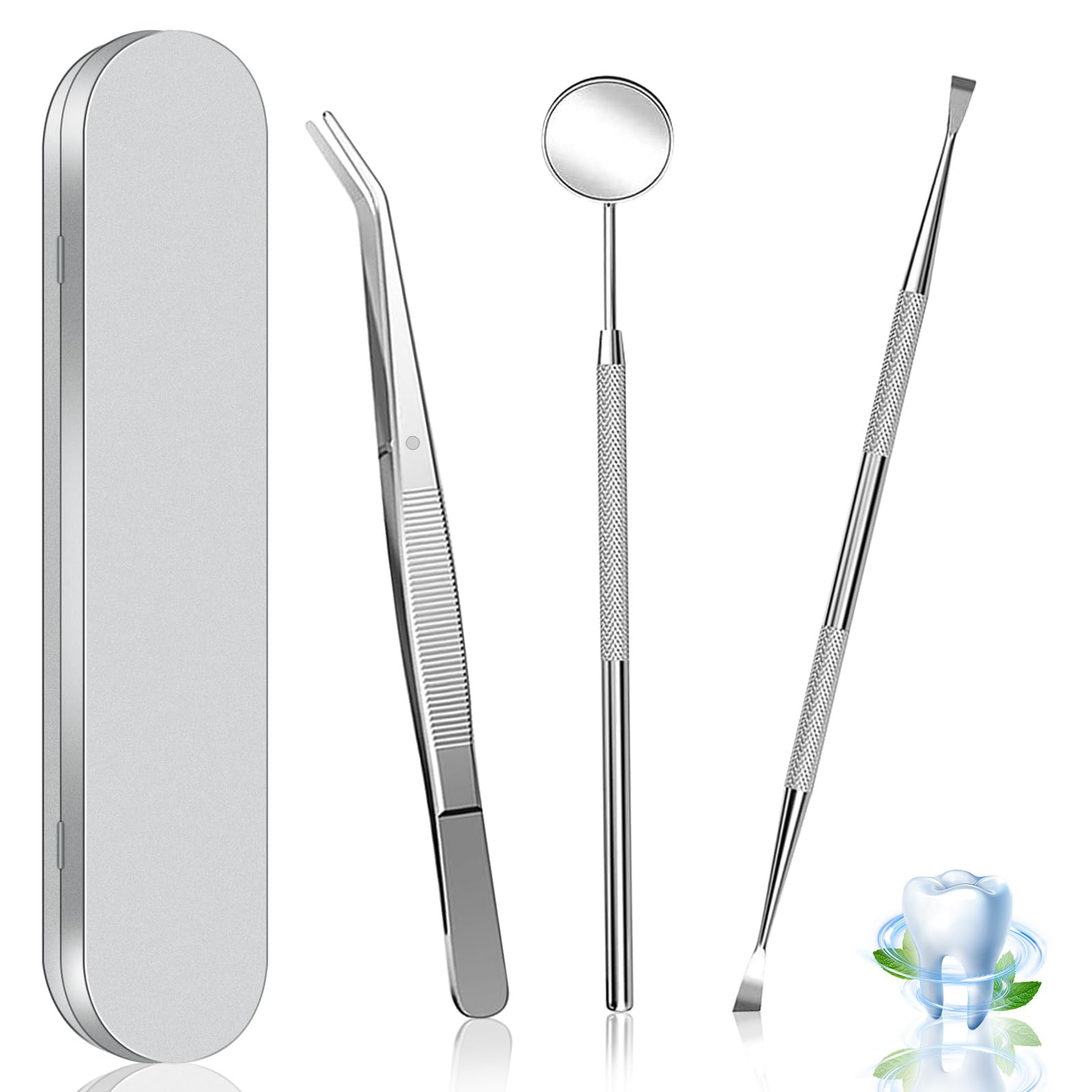 Dental Tools Dental Pick Stainless Steel Teeth Cleaning Tools with Case