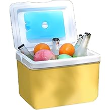 6L Outdoor Camping Coolers Ice Box Insulated Ice Chest Car Refrigerator Incubator for Food, Drink, Beach, Camping, Picnics, Fishing, Boats
