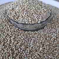 Amazon.com : Lendom Seven Star Natural Desi Bajra - 900gm