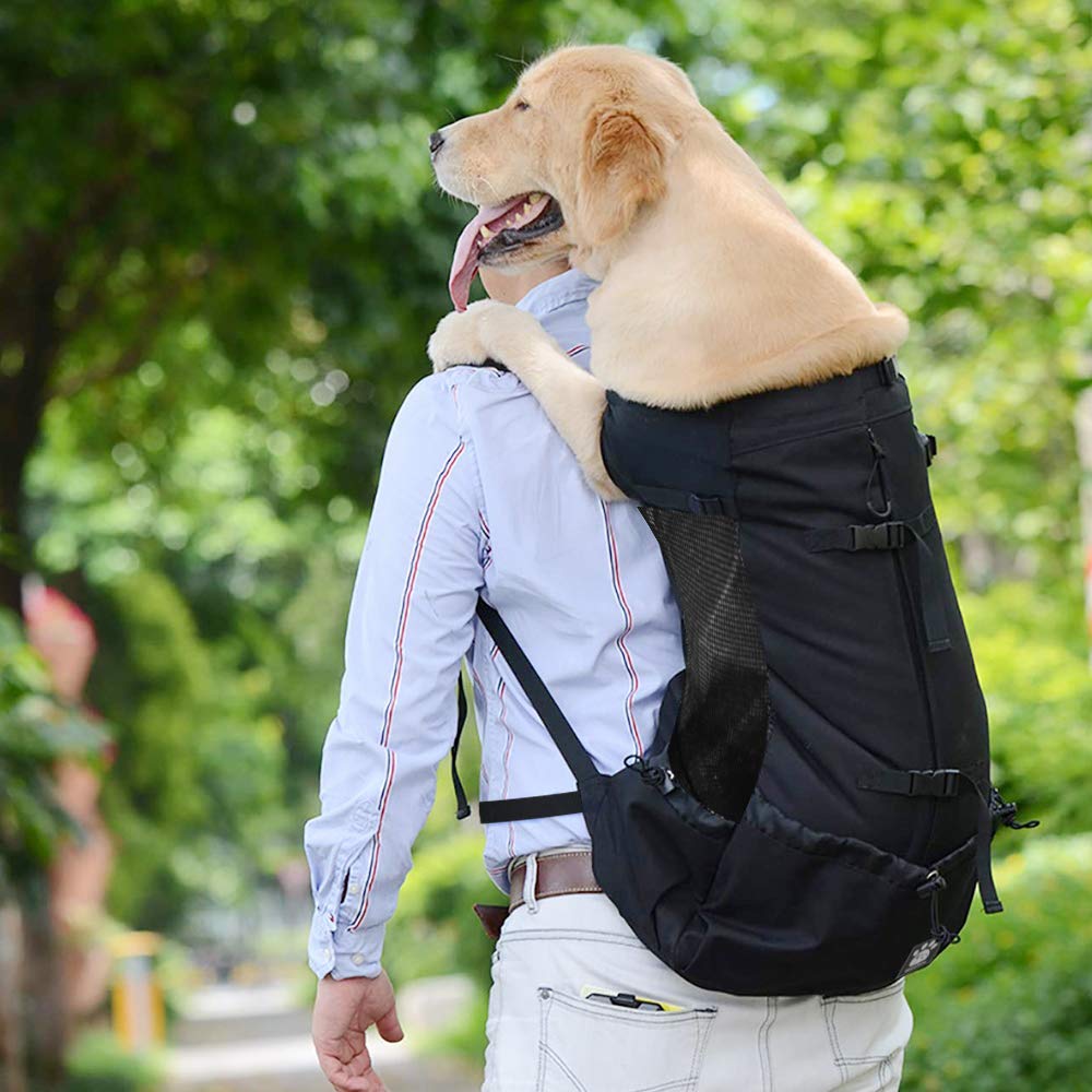 Woolala Mochila ligera para transportar mascotas para perros pequeños y medianos, bolsa segura aprobada por veterinarios para viajes, fácil de llevar, ahorra espacio (XL, actualizada, color negro)