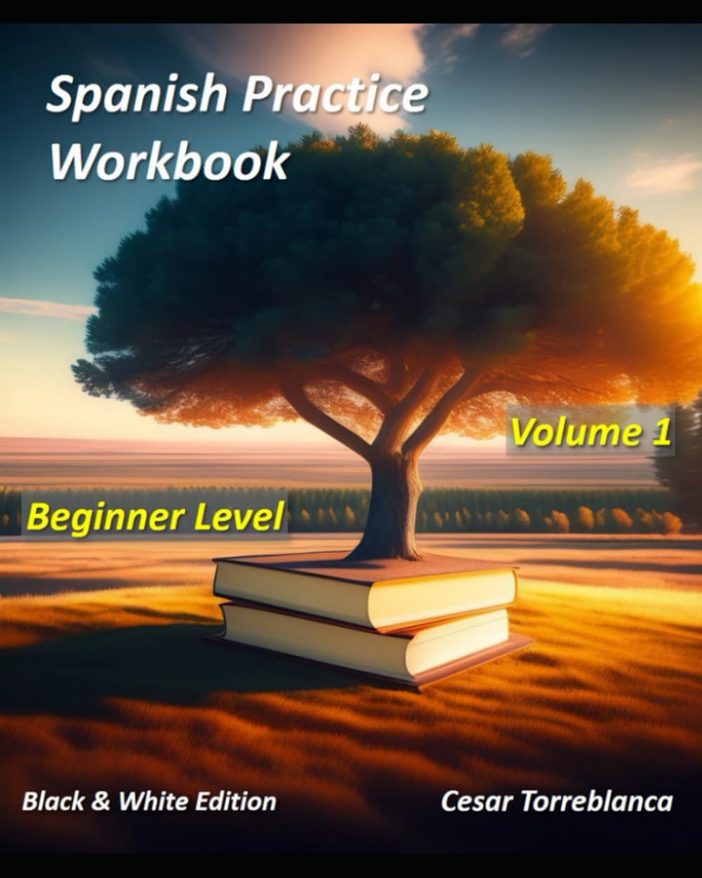 Spanish Practice Workbook - Volume 1 - Beginners Level: Black and White Edition
