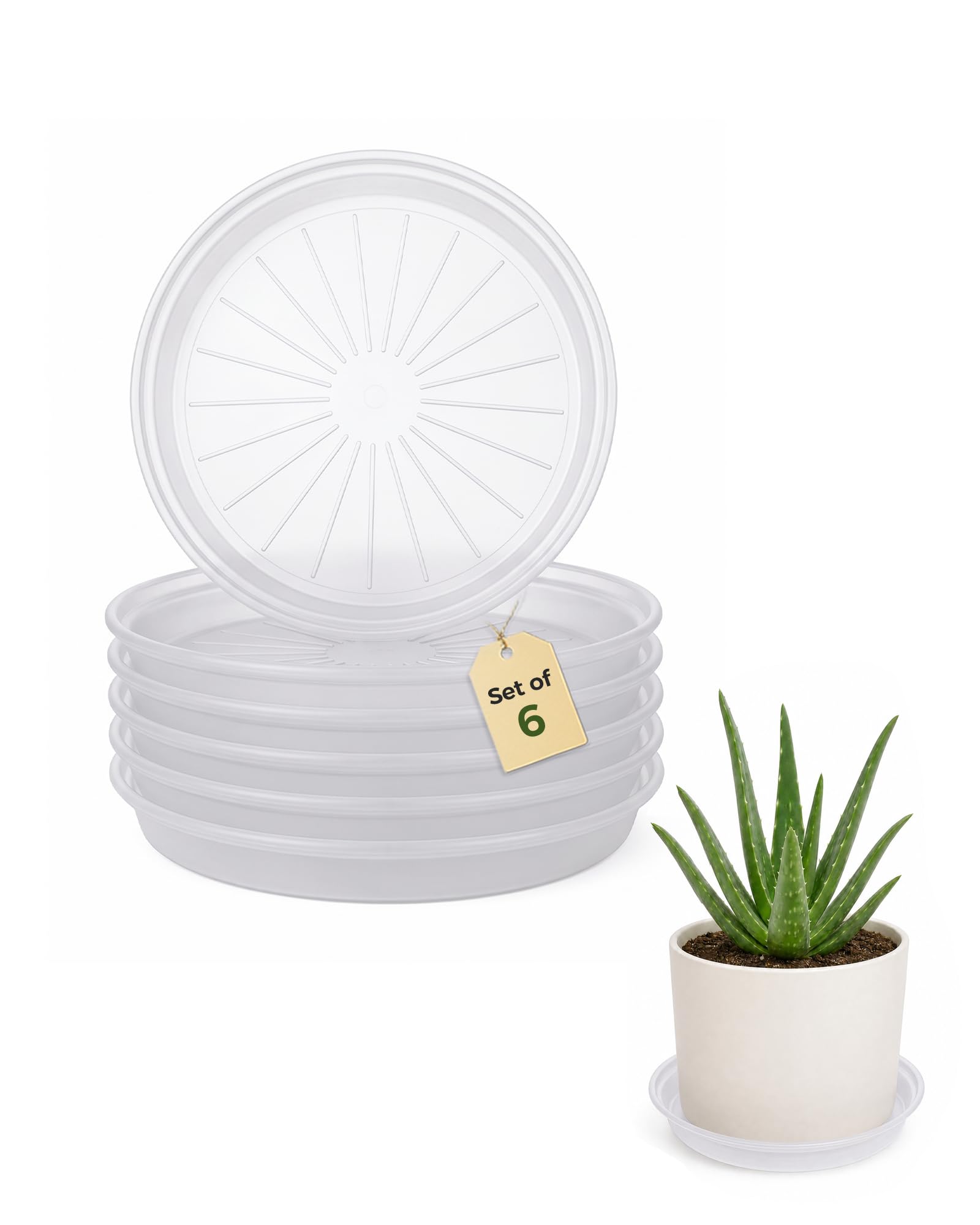 Bamworld soucoupes pour Plantes (15/20/25/30 cm) – Bacs d'égouttage en Plastique Transparent pour jardinières d'intérieur et d'extérieur (Transparent-6pcs)