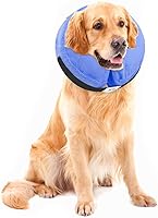 Vista 10 de MCHY Cono inflable para perro, collar de recuperación ajustable para perros después de la cirugía, evita mordeduras y arañazos, no bloquea la visión