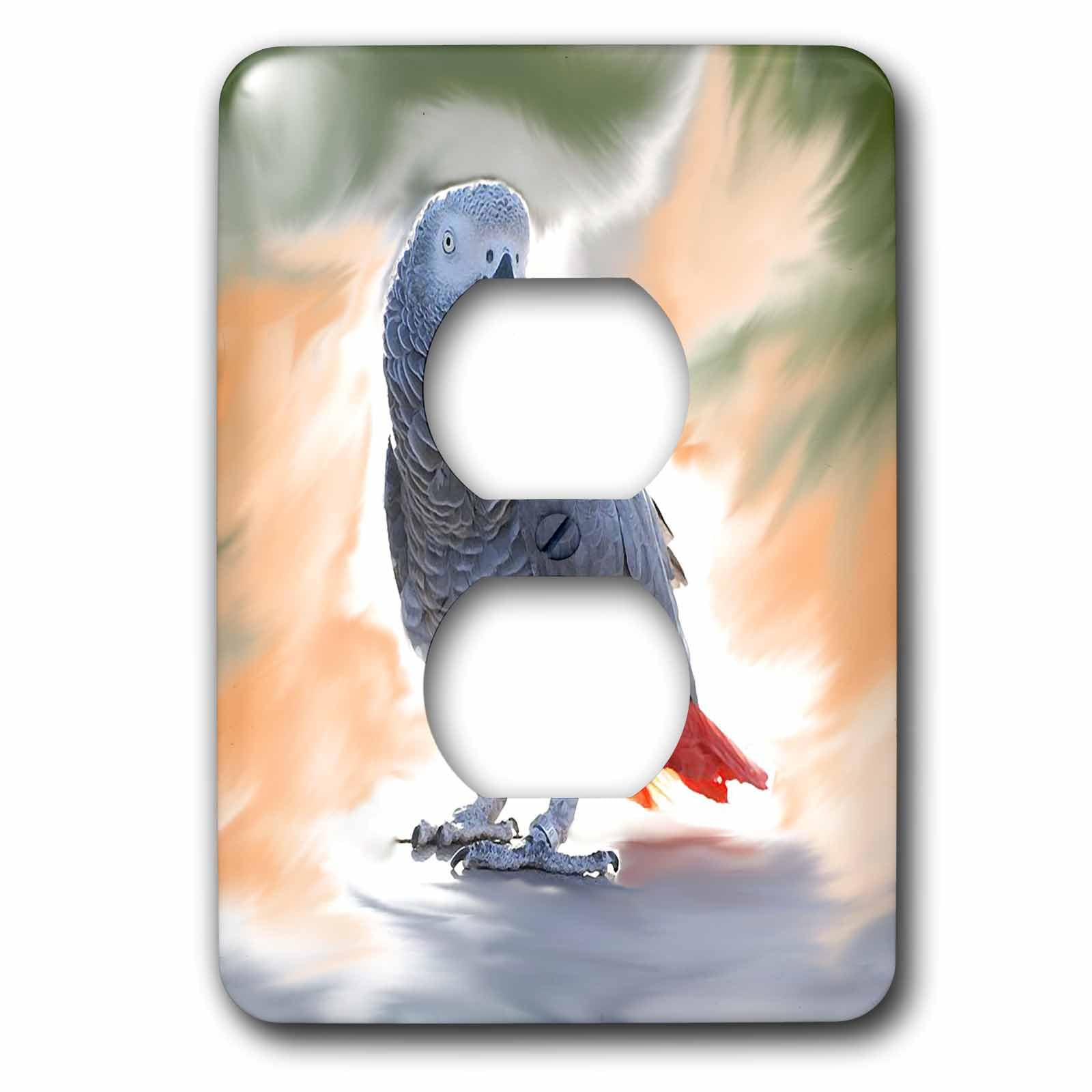 Perroquet gris du Gabon pour sublimer la décoration murale de votre salon
