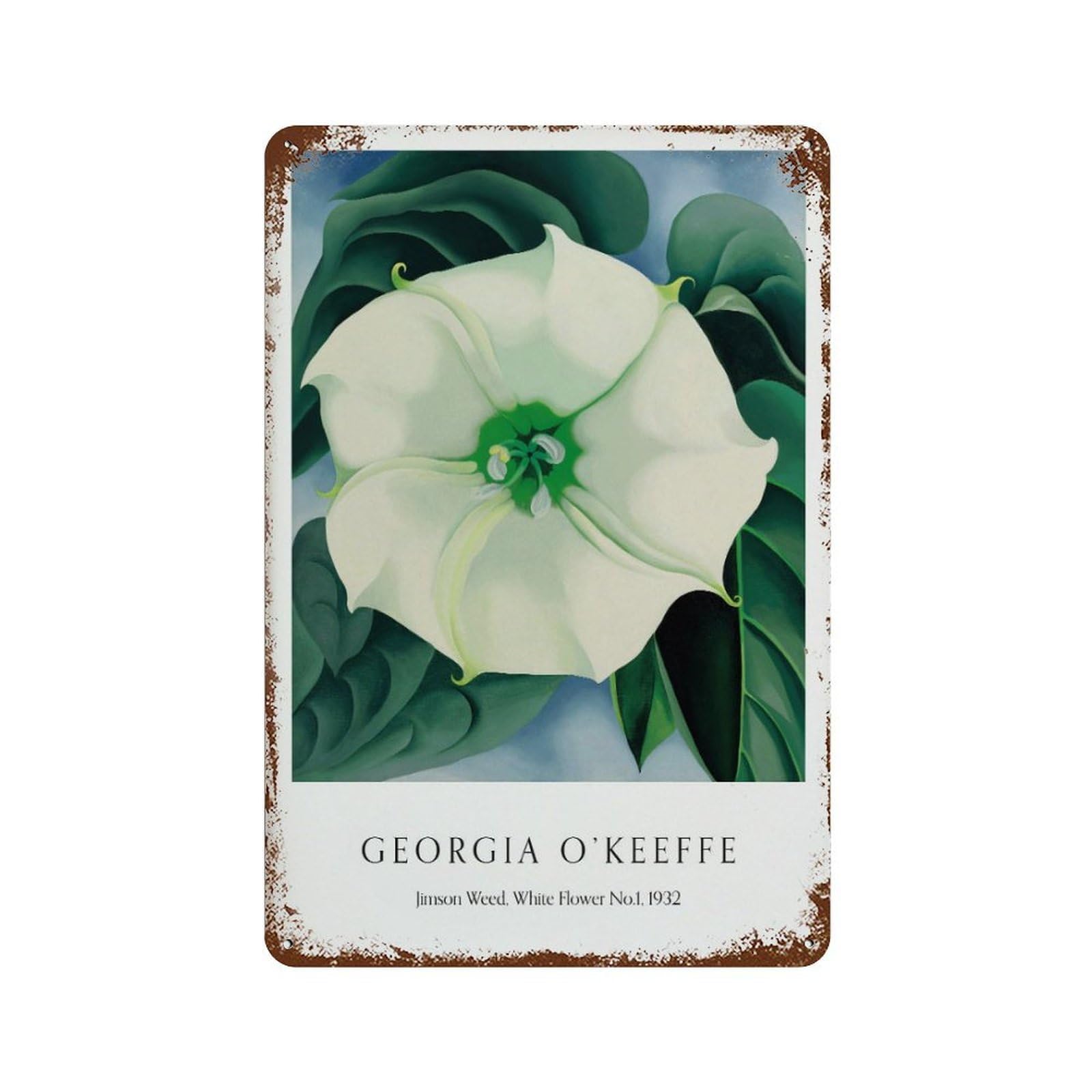 xiaoxiaoshen Georgia O'keeffe Jimson Weed Wall Decor Art Metal Tin Poster Modern Home Decor Art Home Bar Shop Decorations Vintage Sign 30x20cm