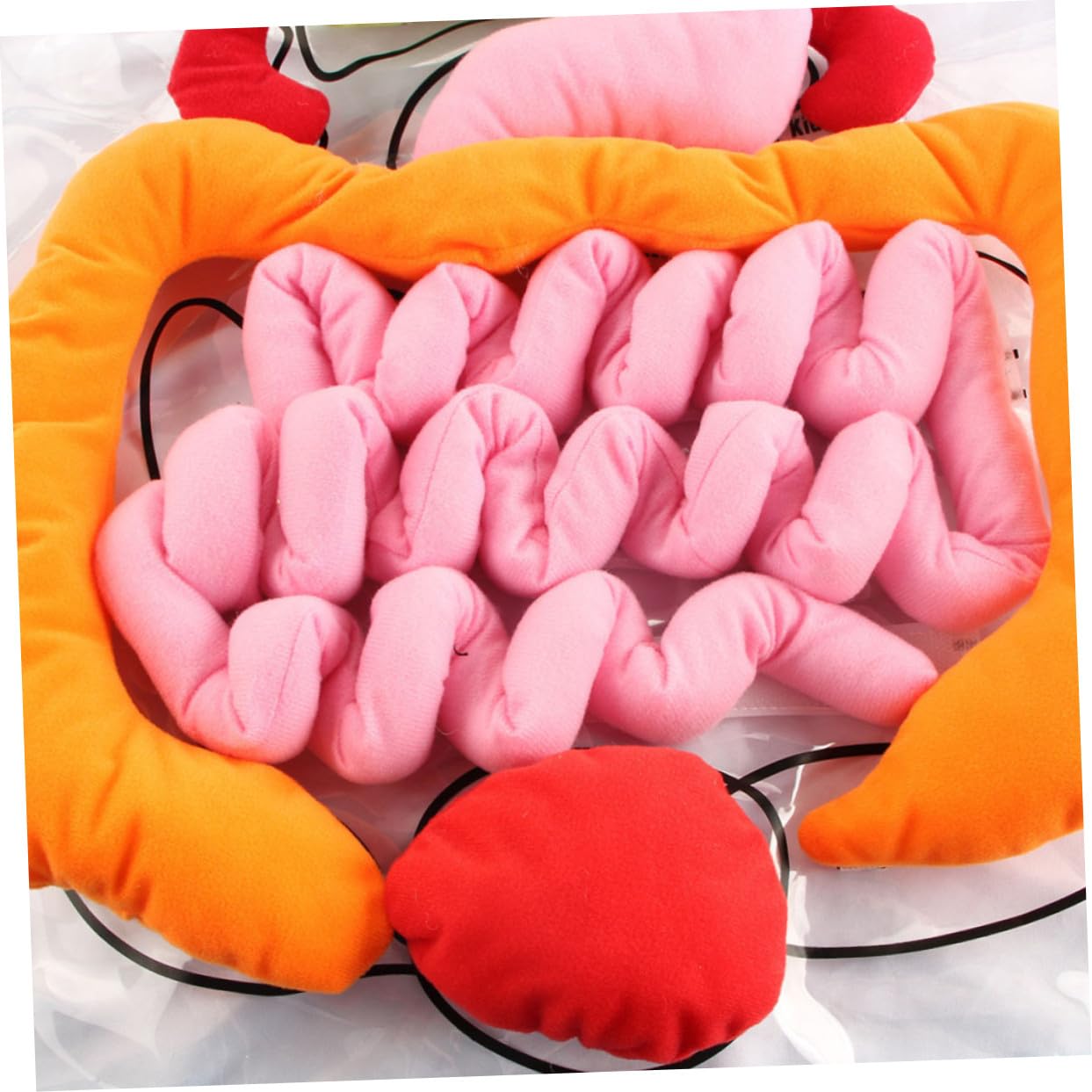 Toyvian Delantal Infantil 3D para Enseñanza de Anatomía Órganos del Cuerpo Humano, Material Didáctico de Plástico y Algodón PP para Educación Preescolar y Jardín de Infancia