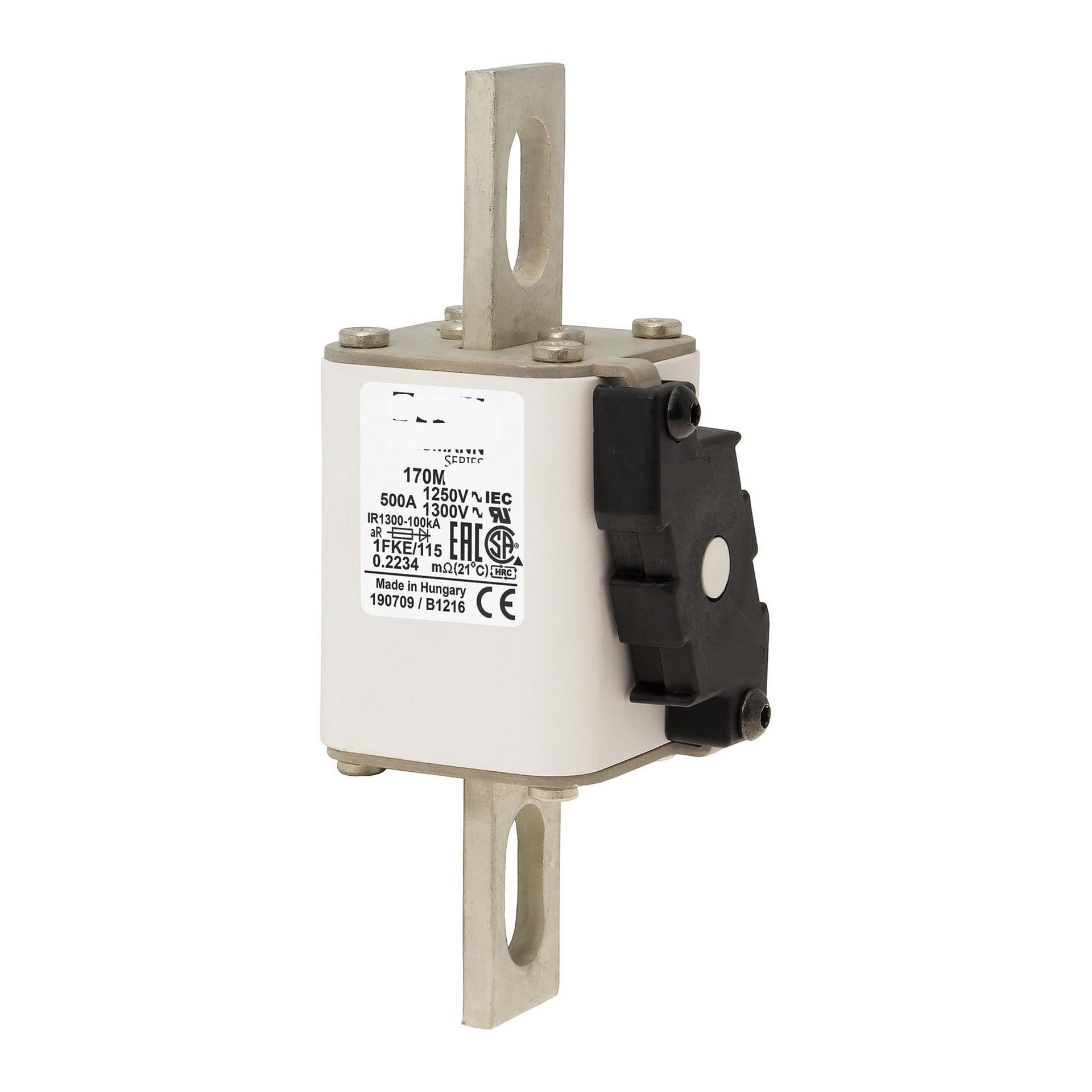HYRBNSDLK 1250V Fuse 170M4744