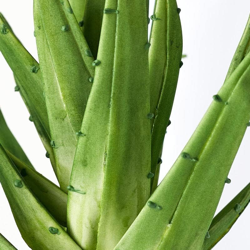 Miniatura 3 de Factory Direct Craft Planta suculenta artificial verde para arreglos y exhibiciones de verano