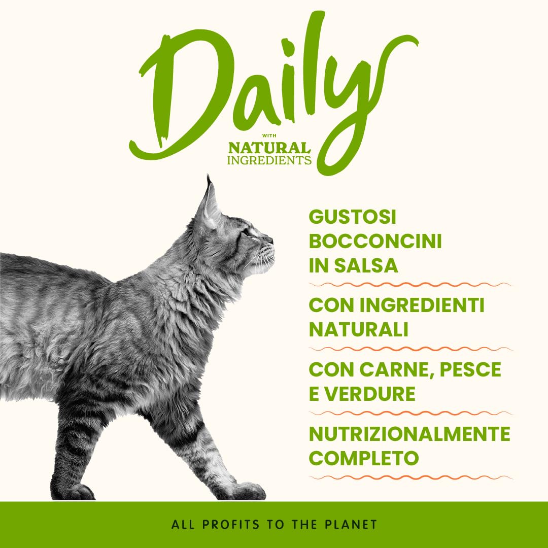 Almo Nature Daily - Alimento Umido Completo Per Gatti Adulti Con Pollo e Salmone - Bocconcini, Confezione da 2.1 kg (30 x 70 g)
