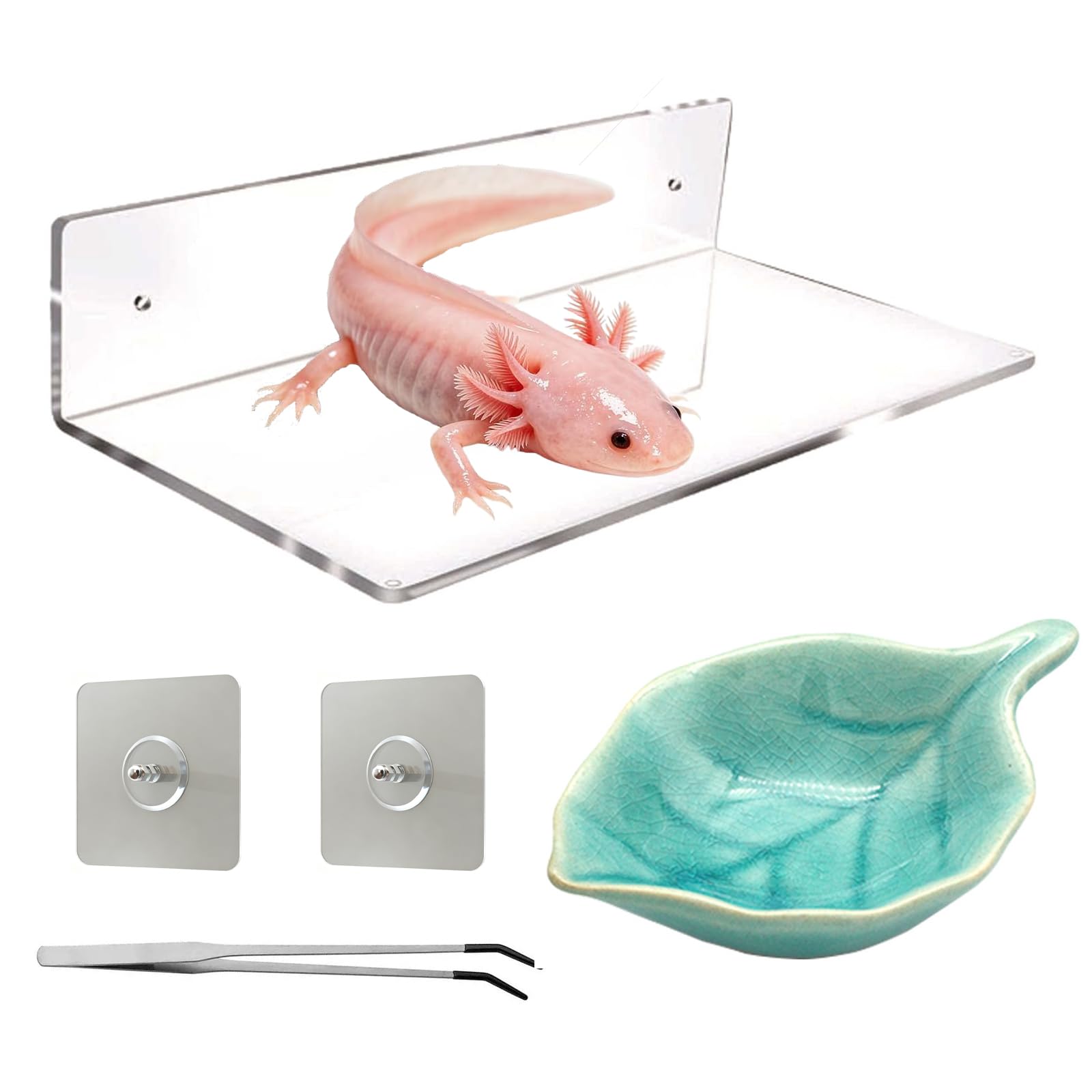 Axolotl Tank Accessories 3-Pack Sanded Clip Ledge Dish