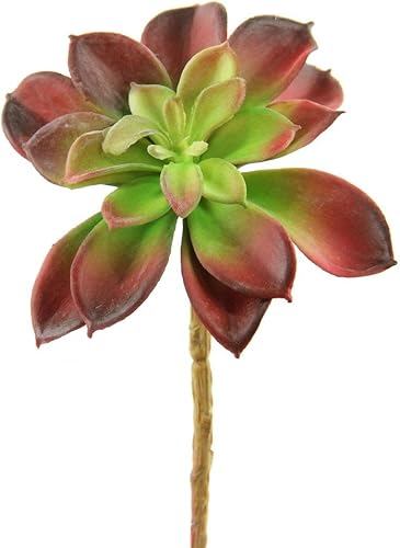 Miniatura 4 de Shinoda Design Center Juego de 2 piezas de tallo suculento sintético verde de 6 pulgadas