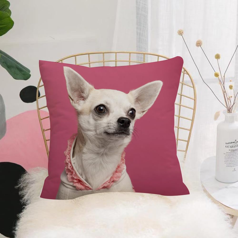 HYOSXW Cushion Cover,Throw Pillow Case Home Decorative for Living Room Bedroom Sofa Chair 16X16 Inch,Animal，Close-up of Chihuahua wearing pink laced shirt in front of pink backgrou,Pillowcase 40X40cm