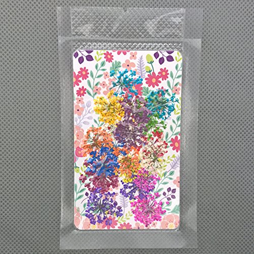 3X (72Pieces) Lace Flower 2-2.5Cm Natural Dried Flowers Pressed Herbarium Flower Nail Sticker Resin Filler (Mixed Color) #TOP1