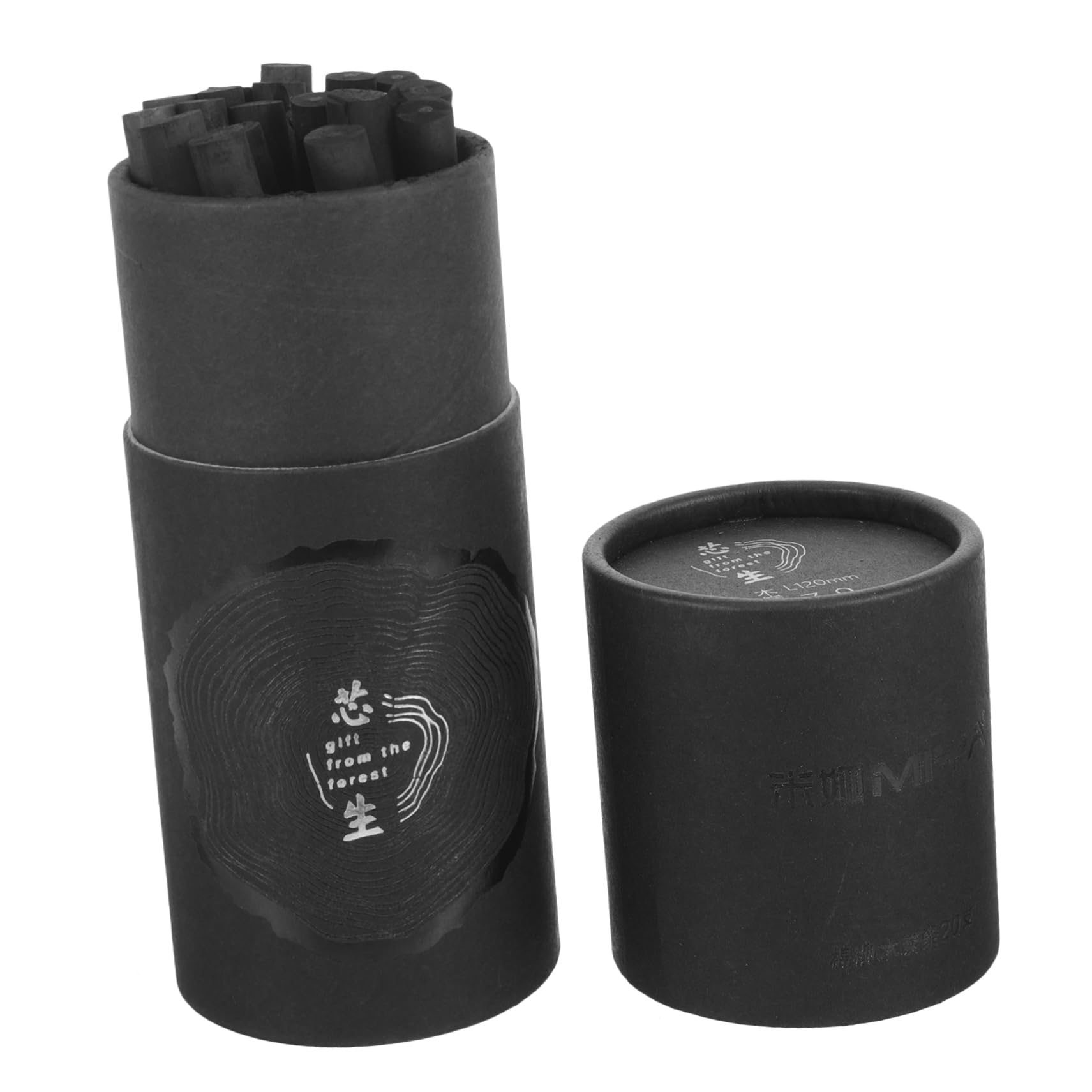 TEHAUX 60piezas Lápices De Carvón Comprimido Para Dibujo y Sombreado Para Artistas Para Sketching y Pintura