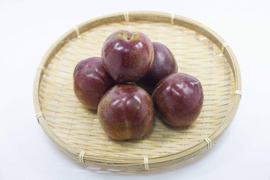 ★奄美大島産★お得！奄美のすもも　プラム　ガラリ 楽天市場】奄美大島産 すもも プラム 約3kg B級品 ご家庭用 L