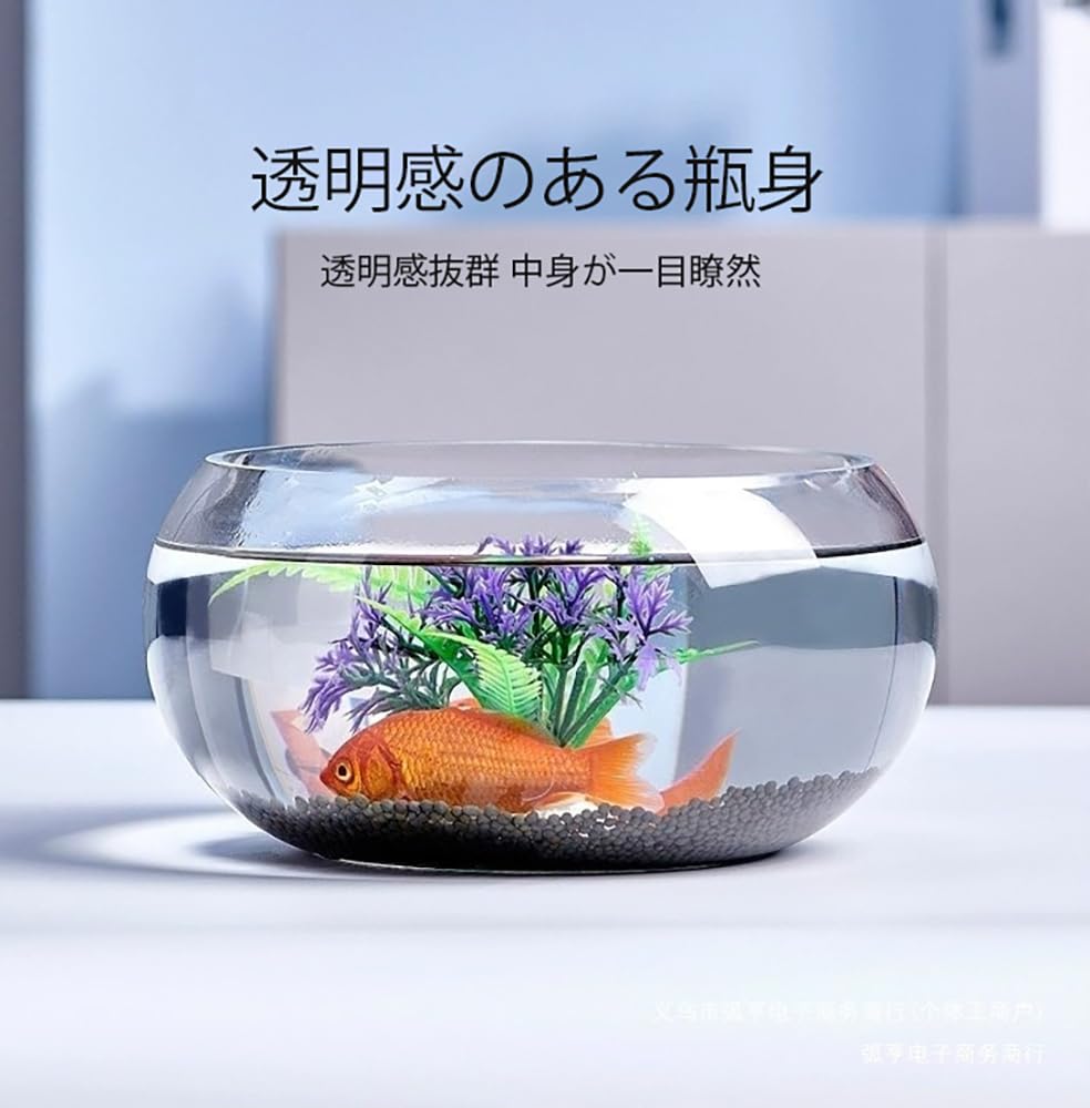 Amazon | 金魚鉢 ガラス製 丸型 アクアリウム 小型水槽 台座付き 観賞