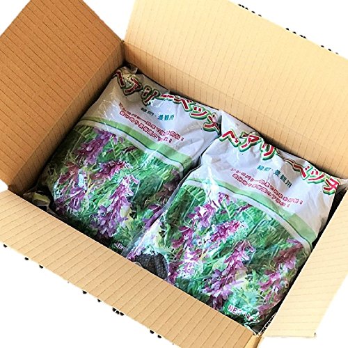 ヘアリーベッチ種子 10kg（1kg×10袋）