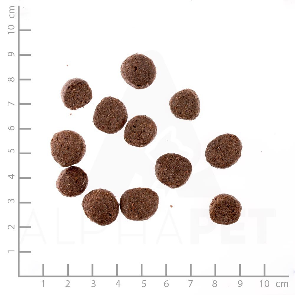WILDES LAND – Ente | Trockenfutter mit extra hohem Fleischanteil und natürlichen Zutaten für ausgewachsene Hunde. Alleinfutter ohne Zusatzstoffe im Beutel | 12kg Ente