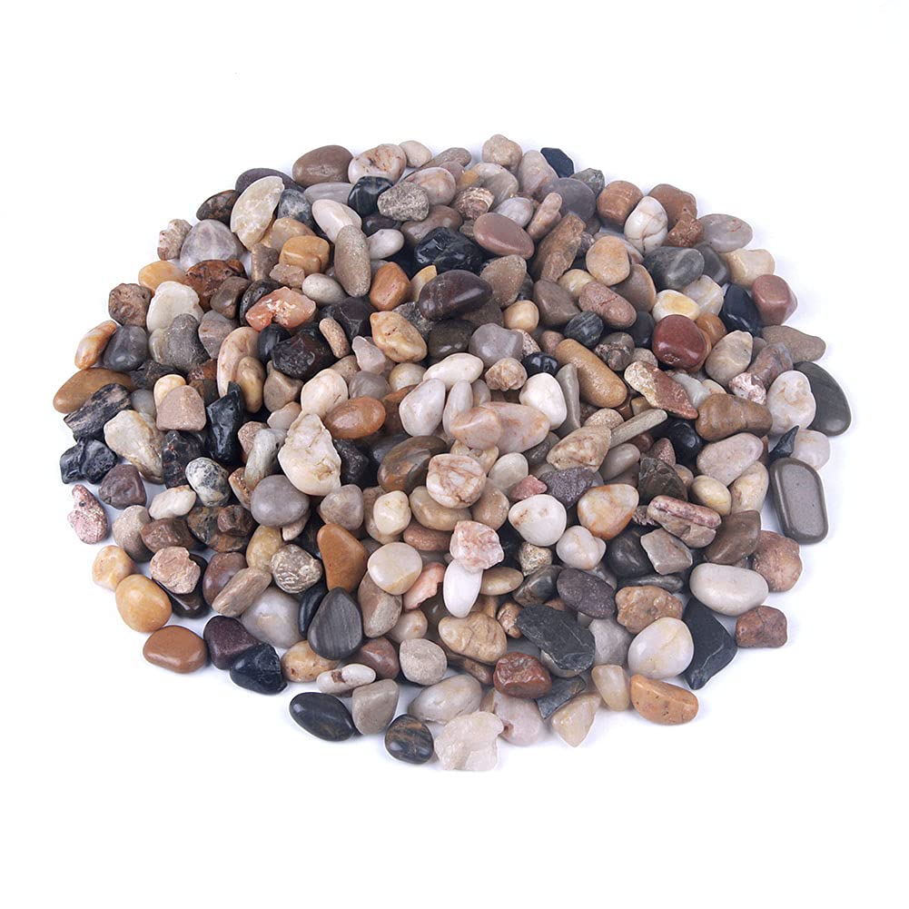 Buy Rocks for s, Succulents, Fairy Garden Big 3lb Bulk Bag 1020mm