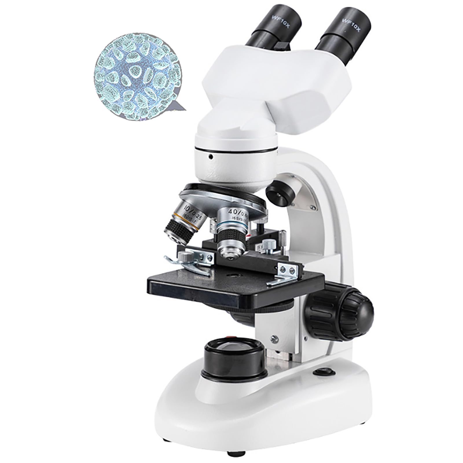 Microscope à composé binoculaire haute précision avec tourelle rotative à 360 degrés - 8